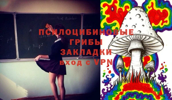 эйфоретик Бронницы