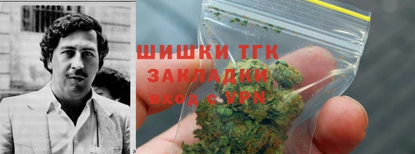 Альфа ПВП Бородино
