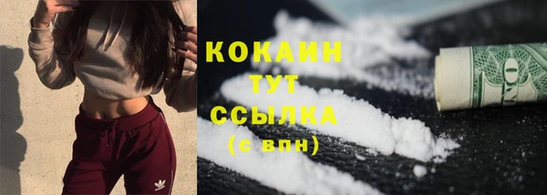 Альфа ПВП Бородино