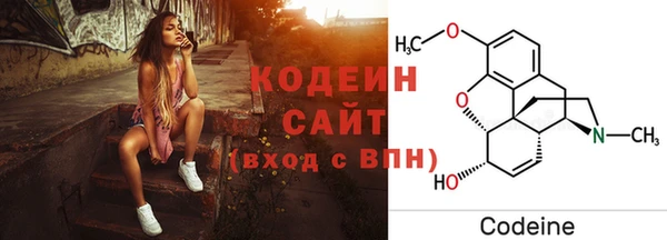 Альфа ПВП Бородино