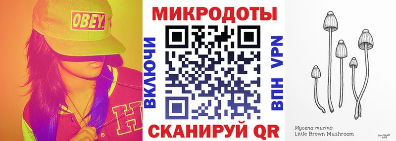 маркетплейс официальный сайт Коломна Псилоцибиновые грибы MAGIC MUSHROOMS